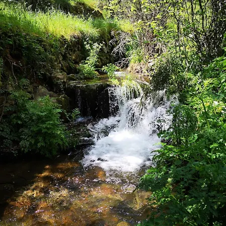 Aroma Tilias Daire *