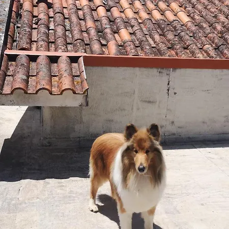 Aroma Tilias Proença-a-Nova