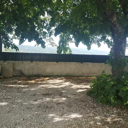 Daire Aroma Tilias *