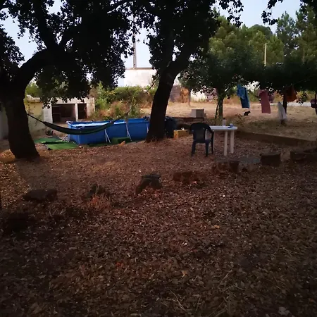 Aroma Tilias Proença-a-Nova