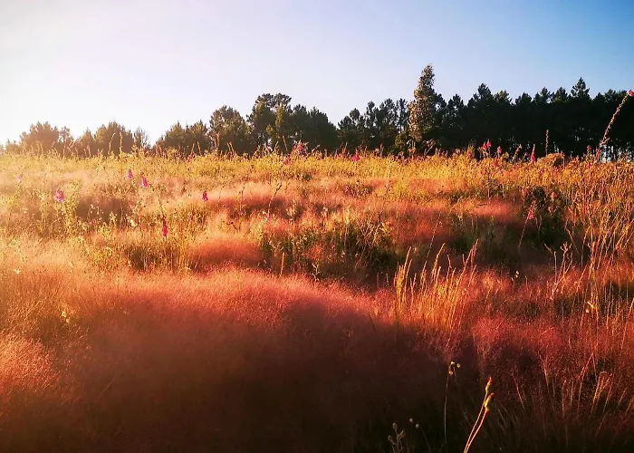 Aroma Tilias Διαμέρισμα Proença-a-Nova