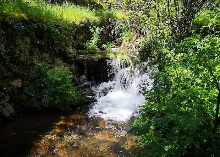 Aroma Tilias Διαμέρισμα *