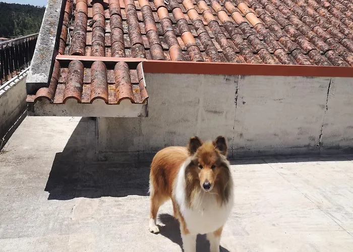 Aroma Tilias Proença-a-Nova