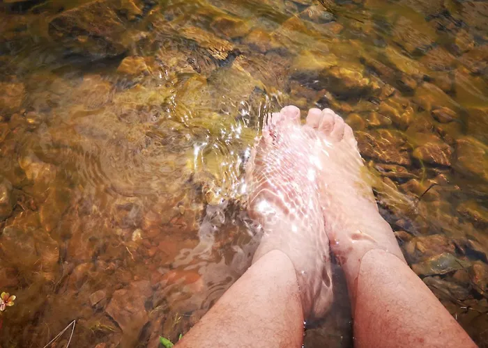 Διαμέρισμα Aroma Tilias Proença-a-Nova